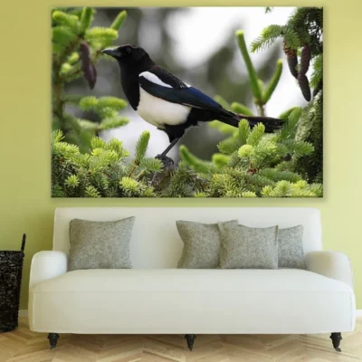 B&W British Bird on Tree Closeup Photograph Print 100% Australian Made