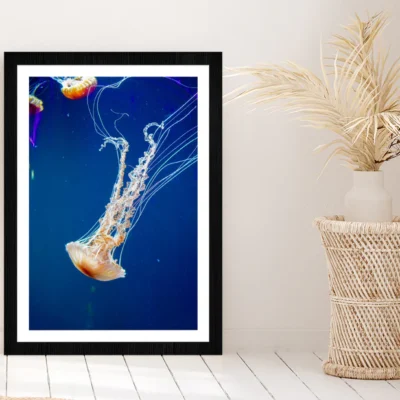 Jellyfish Underwater Closeup View Photograph Glass Framed Wall Art, Ready to Hang Qu