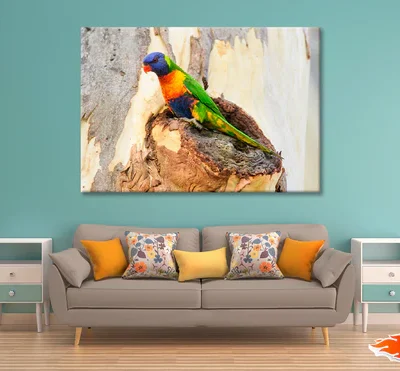 Rainbow Lorikeet Bird on Tree Print 100% Australian Made