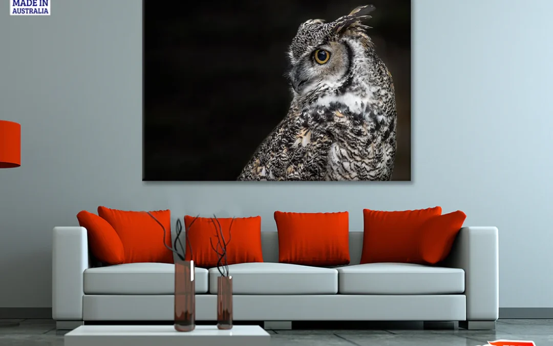 Great Horned Owl Dark Background Print 100% Australian Made