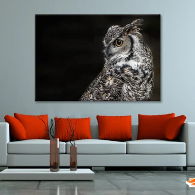 Great Horned Owl Dark Background Print 100% Australian Made