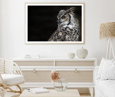 Great Horned Owl Dark Background Home Decor Premium Quality Poster Print Choose Your Sizes