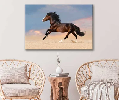 Bella Home Running Horse on Desert With Dust Print Canvas Ready to hang