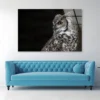 Great Horned Owl Dark Background Acrylic Glass Print Tempered Glass Wall Art 100% Made in Australia Ready to Hang - Image 3