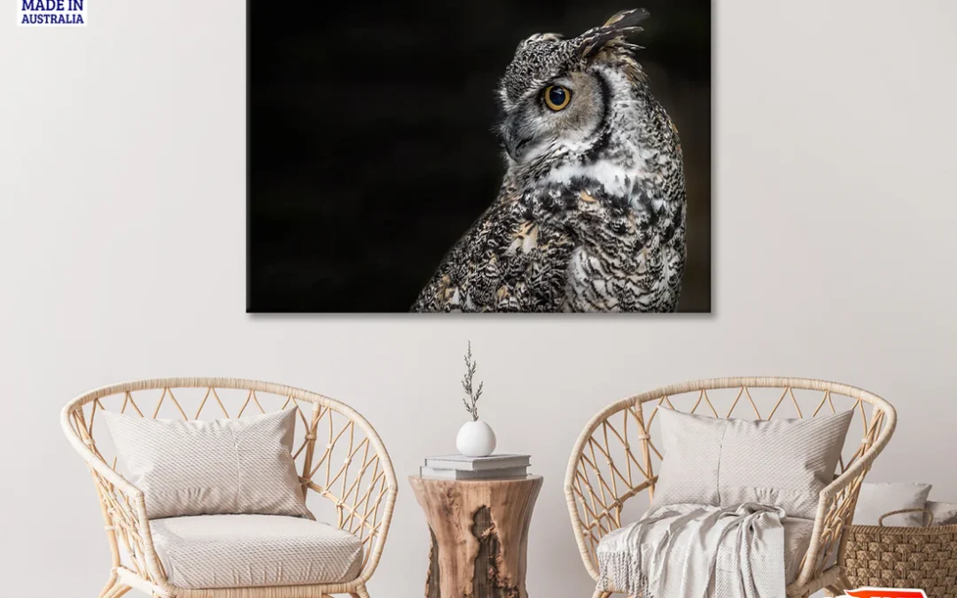 Great Horned Owl Dark Background Print 100% Australian Made