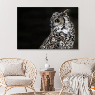 Great Horned Owl Dark Background Print 100% Australian Made