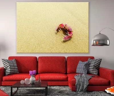 Crabs on the Beach Photograph Print 100% Australian Made