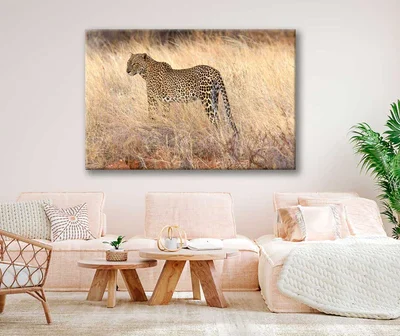 Bella Home Adult Leopard In Dry Brown Grass Print Canvas Ready to hang