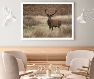 Deer & Plant View Home Decor Premium Quality Poster Print Choose Your Sizes