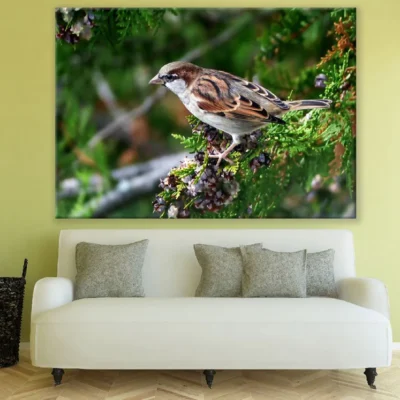 Sparrow Bird on Tree Closeup Photograph Print 100% Australian Made