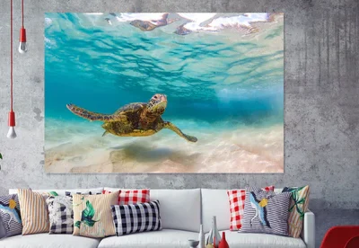 Turtle Sea Print 100% Australian Made
