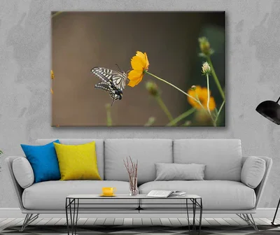 Bella Home Butterfly Sitting on a Flower View Print Canvas Ready to hang