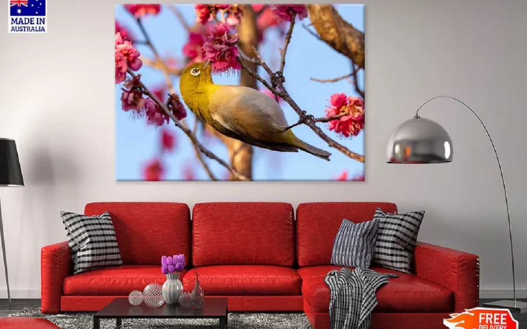 Red Plum Flower & White Eye Bird Photograph Print 100% Australian Made