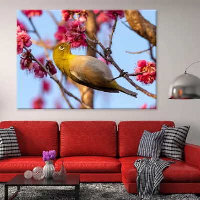 Red Plum Flower & White Eye Bird Photograph Print 100% Australian Made