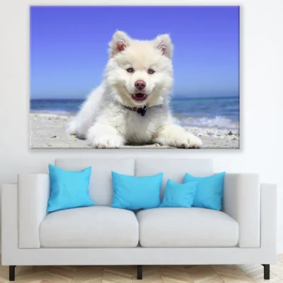 White Husky Puppy Closeup Photograph Print 100% Australian Made