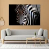 Wild Zebra in Black Background Acrylic Glass Print Tempered Glass Wall Art 100% Made in Australia Ready to Hang - Image 3