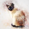 Cat Abstract Design Print 100% Australian Made - Image 2