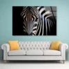Wild Zebra in Black Background Acrylic Glass Print Tempered Glass Wall Art 100% Made in Australia Ready to Hang - Image 2