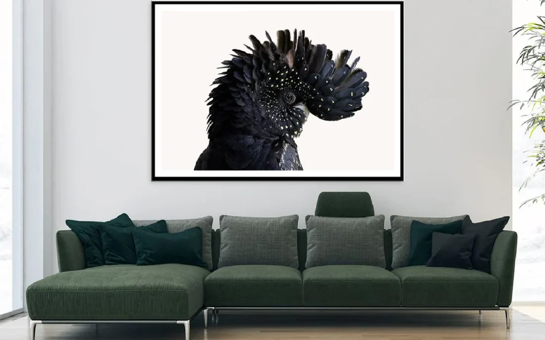 Black Cockatoo Bird Closeup View Photograph Home Decor Premium Quality Poster Print Choose Your Sizes