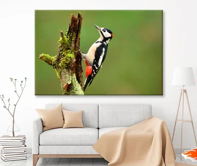 Great Spotted Woodpecker Wall Art Decor 100% Australian Made