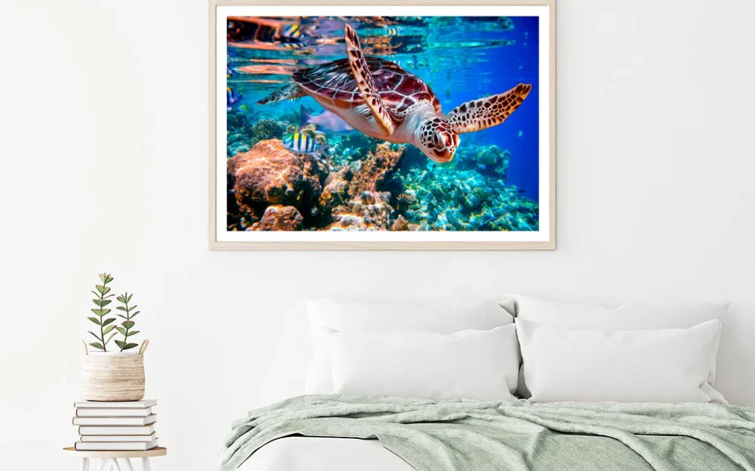 Turtle Swimming in The Ocean with Fish Home Decor Premium Quality Poster Print Choose Your Sizes
