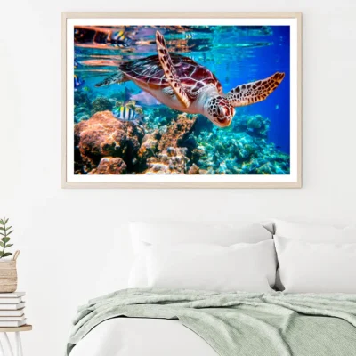 Turtle Swimming in The Ocean with Fish Home Decor Premium Quality Poster Print Choose Your Sizes
