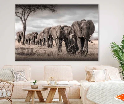 African Bush Elephants View Photograph Print 100% Australian Made
