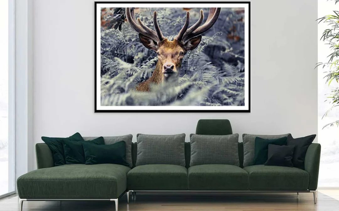 Trees Covered Deer Closeup View Photograph Home Decor Premium Quality Poster Print Choose Your Sizes