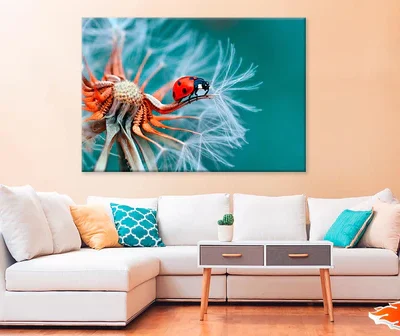 Lady Bug On A Flower Close Up Print 100% Australian Made