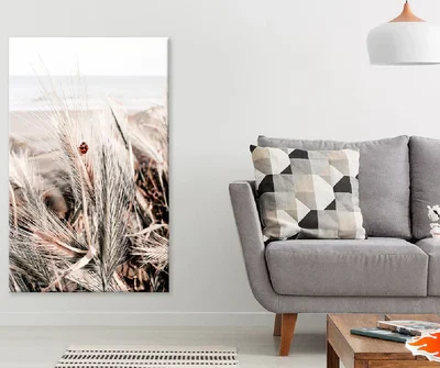 Ladybird at the Beach View Photograph Print 100% Australian Made