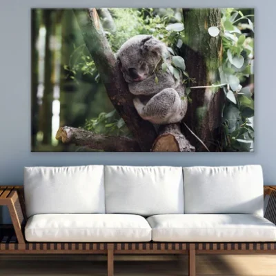 Baby Koala Bear on a Tree Photograph Print 100% Australian Made.