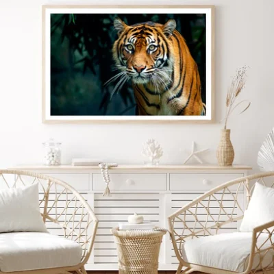 Proud Sumatran Tiger Prowling Towards Home Decor Premium Quality Poster Print Choose Your Sizes