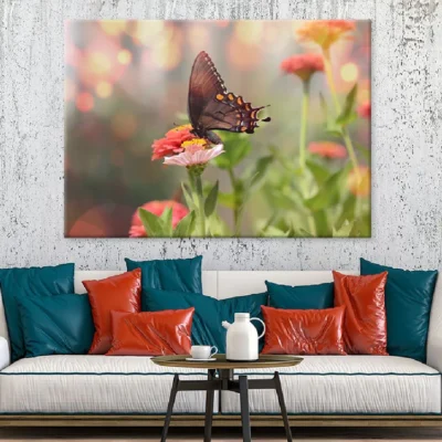 Black Satyrium Butterfly on Pink Flower Photograph Print 100% Australian Made