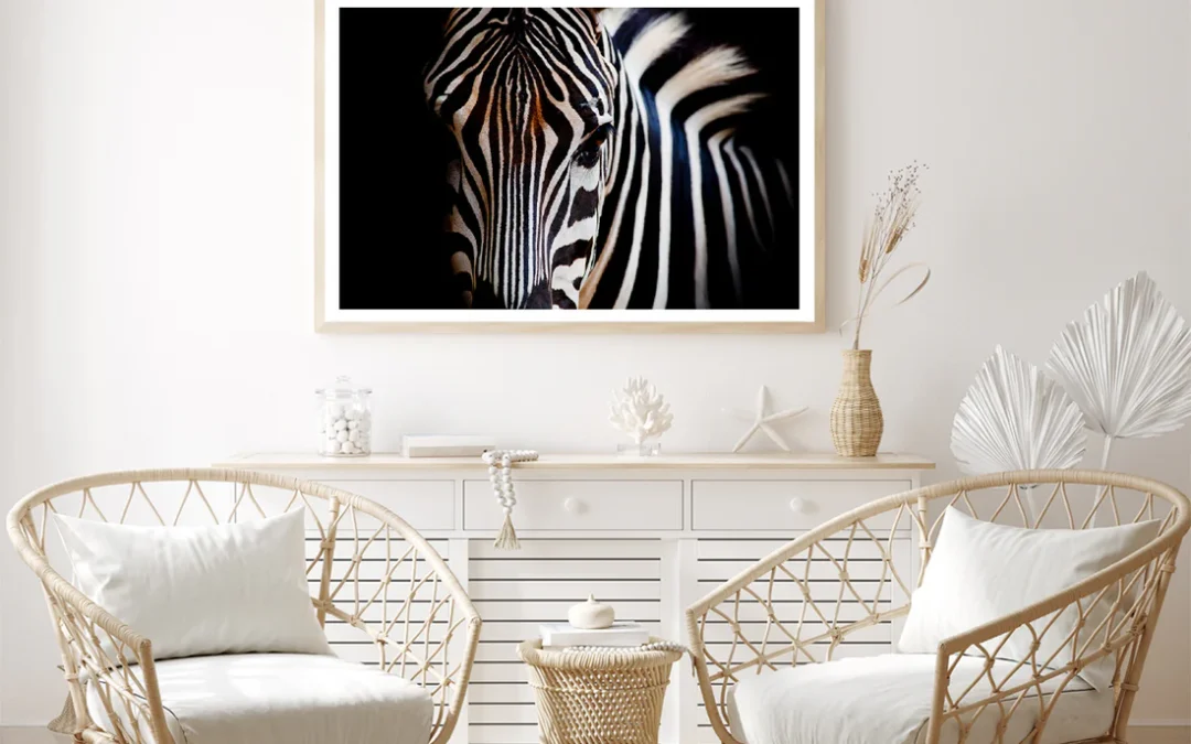 Wild Zebra in Black Background Home Decor Premium Quality Poster Print Choose Your Sizes