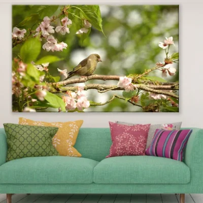 Greenfinch Bird on Blossom Flower Branch Photograph Print 100% Australian Made.