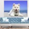 White Husky Puppy Closeup Photograph Print 100% Australian Made - Image 2