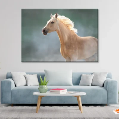 White Lusitano Horse in Movement Print 100% Australian Made