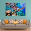 Turtle Swimming in The Ocean with Fish Acrylic Glass Print Tempered Glass Wall Art 100% Made in Australia Ready to Hang - Image 2