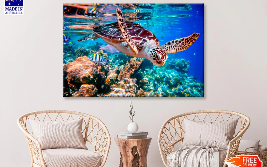 Turtle Swimming in The Ocean with Fish Wall Art Decor 100% Australian Made