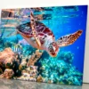 Turtle Swimming in The Ocean with Fish Acrylic Glass Print Tempered Glass Wall Art 100% Made in Australia Ready to Hang
