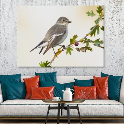 Sparrow Bird on Tree Branch View Photograph Print 100% Australian Made