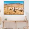 Bella Home Lamas & Eating Grass Print Canvas Ready to hang