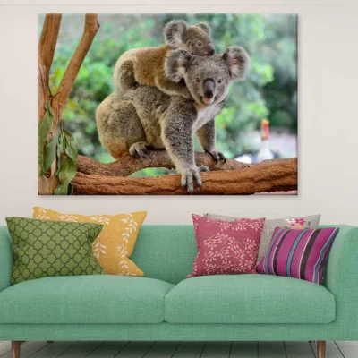 Mother Koala with Baby on Back View Photograph Print 100% Australian Made