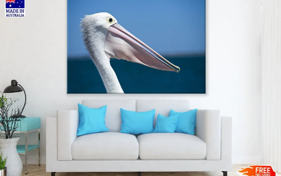Pelican Bird Face Closeup Photograph Print 100% Australian Made
