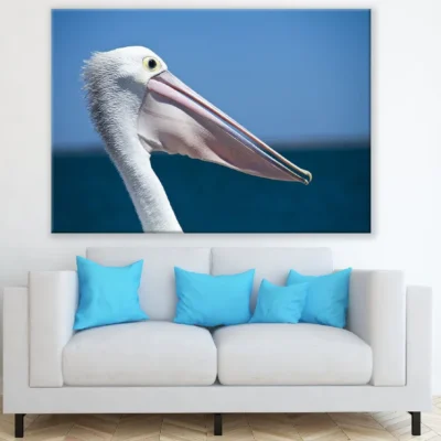 Pelican Bird Face Closeup Photograph Print 100% Australian Made