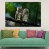 Spotted Owlet Pair Photograph Print 100% Australian Made