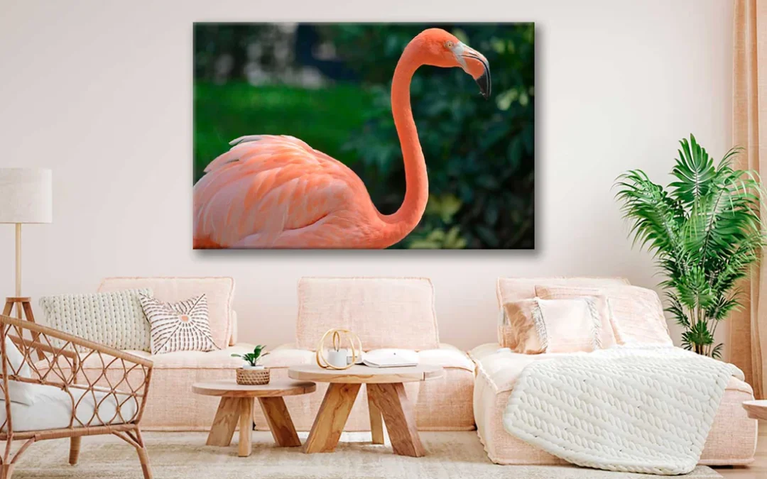 Bella Home Closeup Photograph of A Flamingo Print Canvas Ready to hang