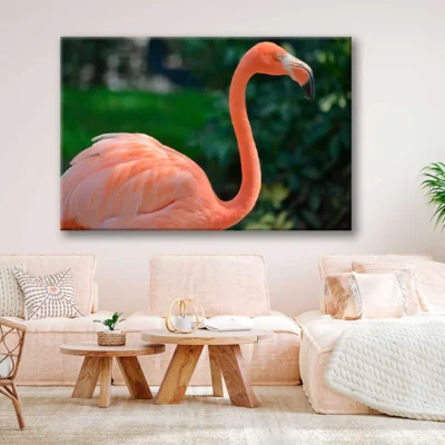 Bella Home Closeup Photograph of A Flamingo Print Canvas Ready to hang