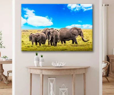 Bella Home Herd of Elephants & Grass Field Print Canvas Ready to hang