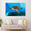 Turtle Swimming in The Ocean with A Lot of Water Acrylic Glass Print Tempered Glass Wall Art 100% Made in Australia Ready to Hang - Image 2